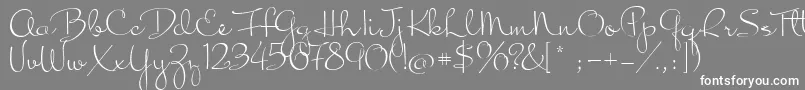 フォントInspiration – 灰色の背景に白い文字