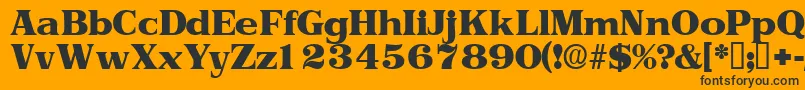 Toriidisplayssk Font – Black Fonts on Orange Background