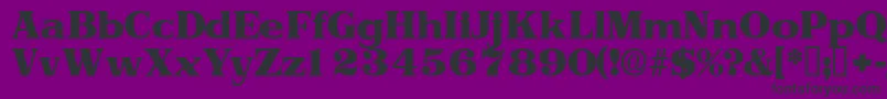 Toriidisplayssk Font – Black Fonts on Purple Background