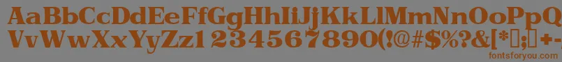 Toriidisplayssk Font – Brown Fonts on Gray Background