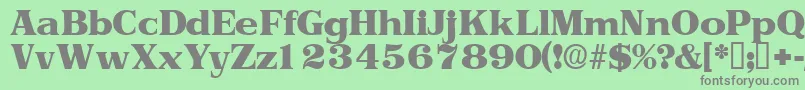 Toriidisplayssk Font – Gray Fonts on Green Background