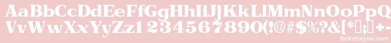 Toriidisplayssk Font – White Fonts on Pink Background