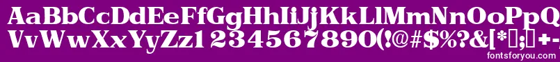 Toriidisplayssk Font – White Fonts on Purple Background