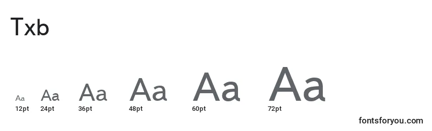 Txb Font Sizes