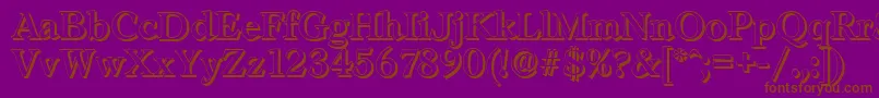 LeamingtonshadowRegular Font – Brown Fonts on Purple Background