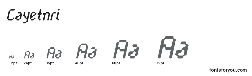Размеры шрифта Cayetnri