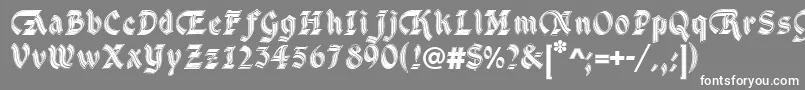 フォントDsCathedralAlt – 灰色の背景に白い文字