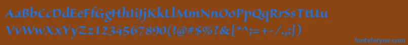 SanvitoproBolddisp Font – Blue Fonts on Brown Background