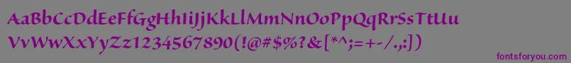 SanvitoproBolddisp Font – Purple Fonts on Gray Background