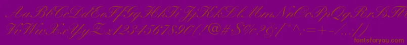 En savoir plus sur la police KuenstlerscriptltstdMedium Police KuenstlerscriptltstdMedium – polices brunes sur fond violet
