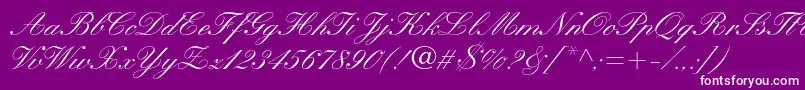 KuenstlerscriptltstdMedium Font – White Fonts on Purple Background