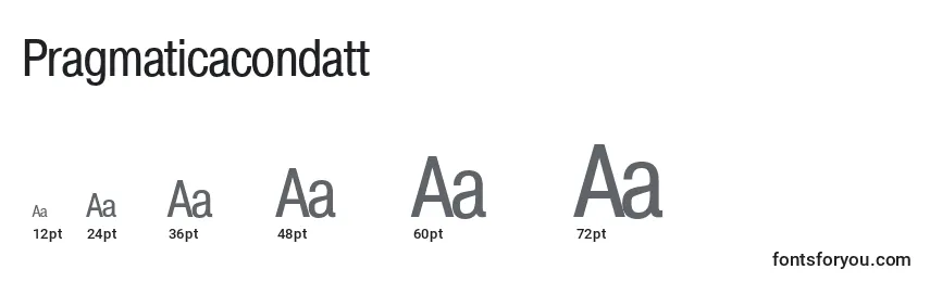 Pragmaticacondatt Font Sizes