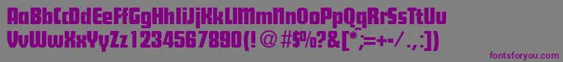 SteilefunctionRegularDb Font – Purple Fonts on Gray Background