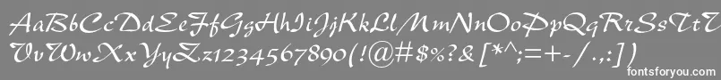 Newberolinamtstd Font – White Fonts on Gray Background