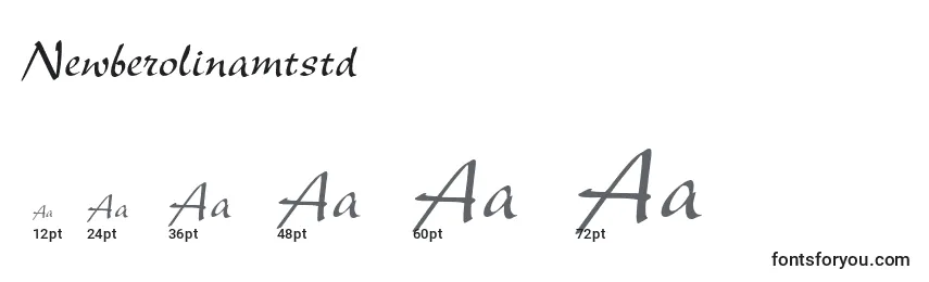 Newberolinamtstd Font Sizes