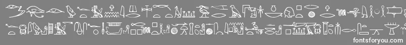 フォントYiro – 灰色の背景に白い文字