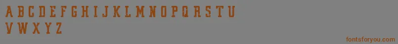 VintageCollegeDeptWorn Font – Brown Fonts on Gray Background