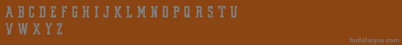 VintageCollegeDeptWorn Font – Gray Fonts on Brown Background