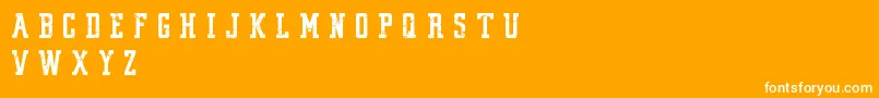 VintageCollegeDeptWorn Font – White Fonts on Orange Background