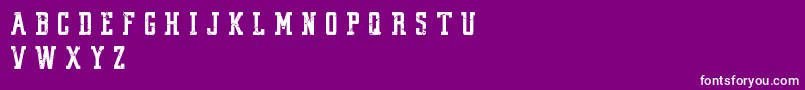 VintageCollegeDeptWorn Font – White Fonts on Purple Background