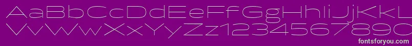 BrillerThin Font – Green Fonts on Purple Background