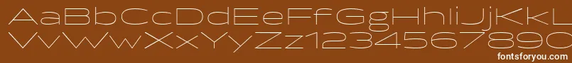 BrillerThin Font – White Fonts on Brown Background