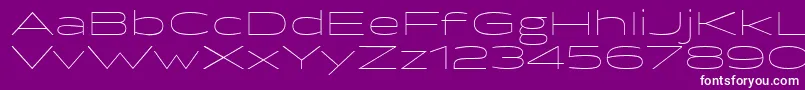 BrillerThin Font – White Fonts on Purple Background