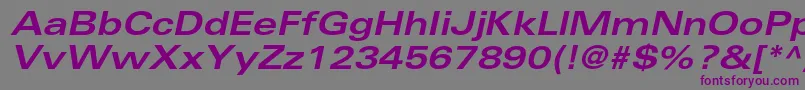 UniversltstdBoldexobl Font – Purple Fonts on Gray Background