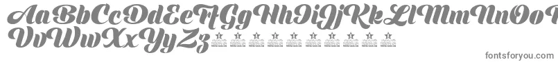 ShinePersonalUse Font – Gray Fonts