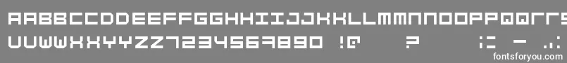 フォントSimplyMono – 灰色の背景に白い文字
