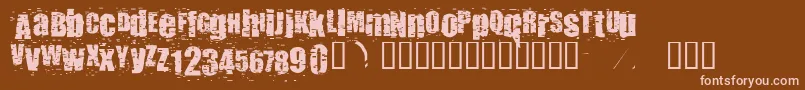 Punkassbitch Font – Pink Fonts on Brown Background