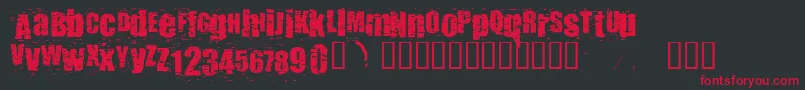 Punkassbitch Font – Red Fonts on Black Background