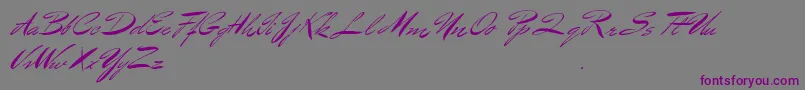 Шрифт BluelminBenedict – фиолетовые шрифты на сером фоне