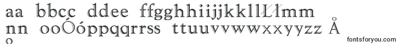 Tooled Font – Polish Fonts