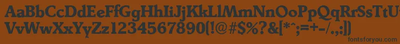 DerringerserialXboldRegular Font – Black Fonts on Brown Background