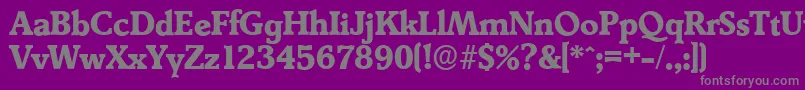 DerringerserialXboldRegular Font – Gray Fonts on Purple Background