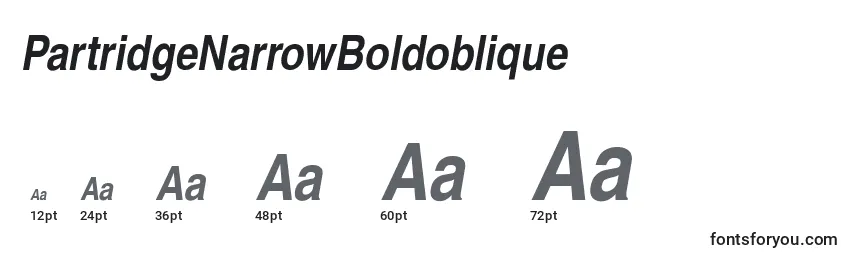 Размеры шрифта PartridgeNarrowBoldoblique
