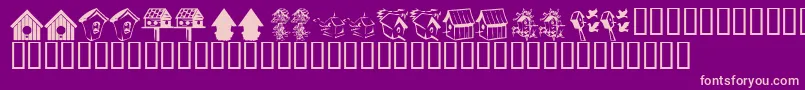KrBirdhouse Font – Pink Fonts on Purple Background