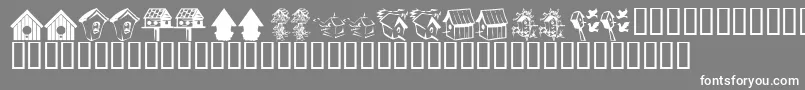KrBirdhouse Font – White Fonts on Gray Background