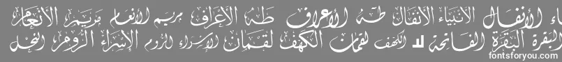 McsSwerAlQuran1 Font – White Fonts on Gray Background