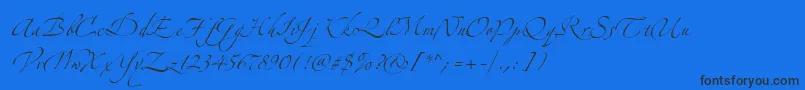 AlexandraZeferinoTwo-Schriftart – Schwarze Schriften auf blauem Hintergrund