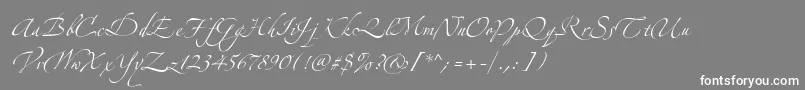 フォントAlexandraZeferinoTwo – 灰色の背景に白い文字