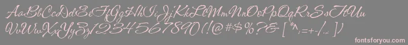 CacShishoniBrush Font – Pink Fonts on Gray Background