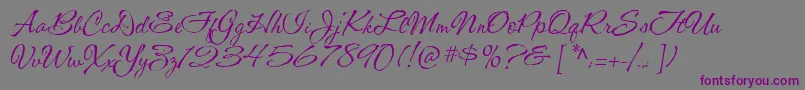 CacShishoniBrush Font – Purple Fonts on Gray Background