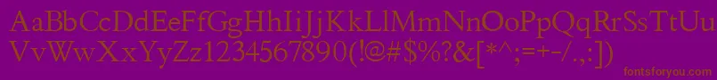 Thryn Font – Brown Fonts on Purple Background