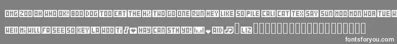 Wordbits Font – White Fonts on Gray Background