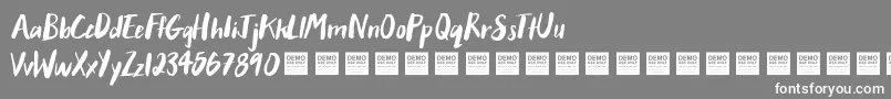 AfterHoursDemo Font – White Fonts on Gray Background