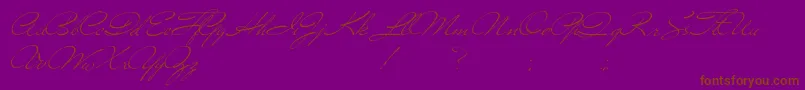 Versitia-Schriftart – Braune Schriften auf violettem Hintergrund