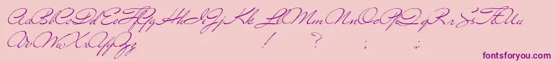 Versitia Font – Purple Fonts on Pink Background