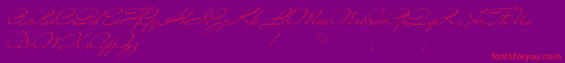 Versitia Font – Red Fonts on Purple Background